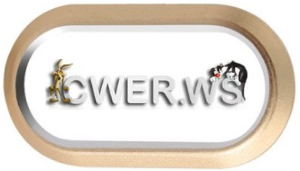 cwer.ru