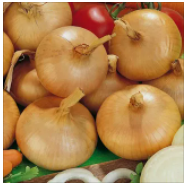 Лук